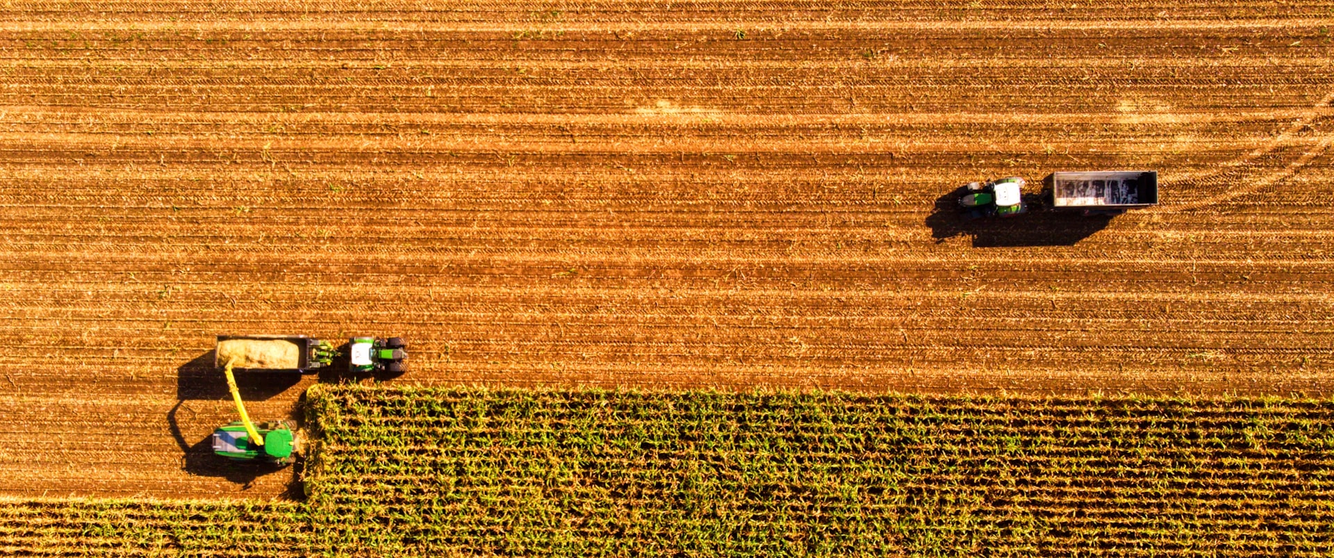 two tractors in a large field of crops