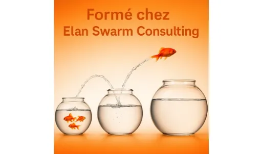 RDV Diag ESG QSE RSE RH financé ?