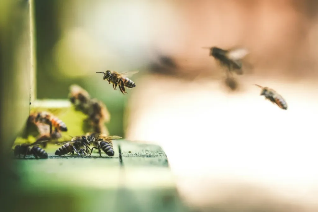 Article de blog 'Qu’est-ce que la comptabilité durable ?' cover image.webp